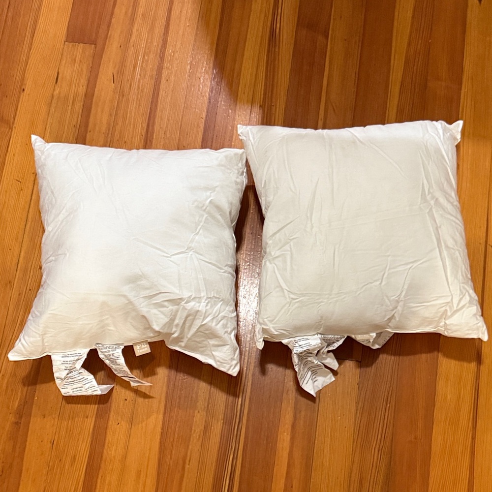 Pottery Barn Teen White synthetic pillow inserts (set of two)